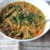 GOOD HEARTY VEGan lentil stew