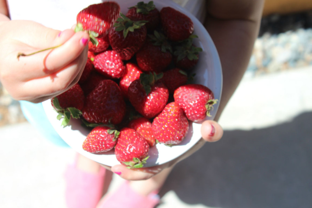 eve holding strawberries