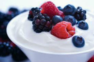 yogurt final